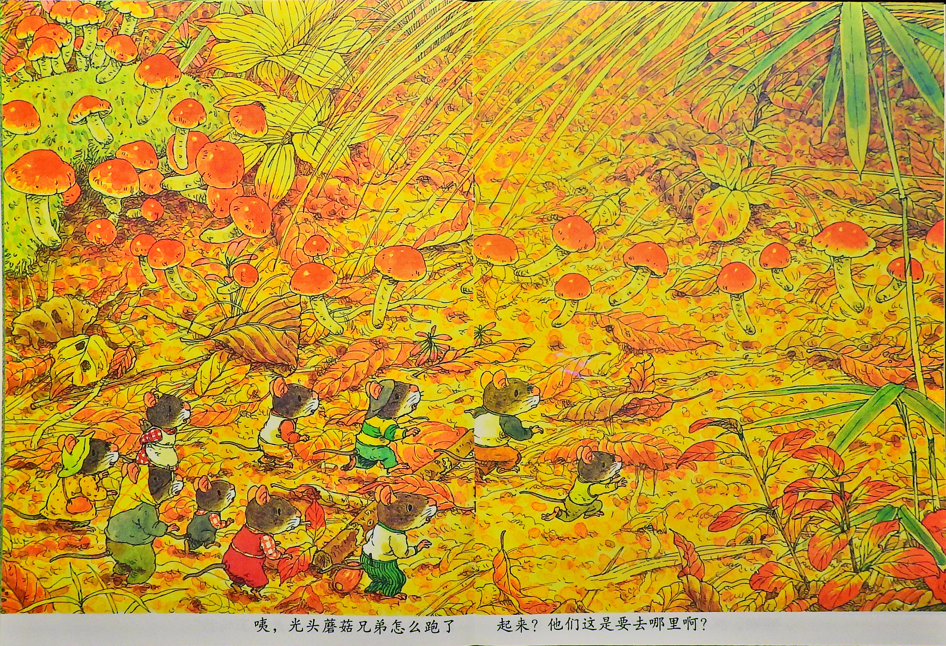 14只老鼠的秋天进行曲 (10),绘本,绘本故事,绘本阅读,故事书,童书,图画书,课外阅读